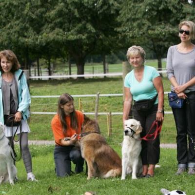 00 Ll5l6985 20191009 1678919075