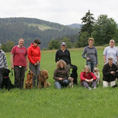 000 Ll5l6474 20191009 1071714190