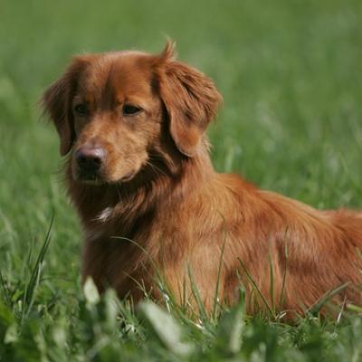 0005ll5l6074 20191009 1722367008