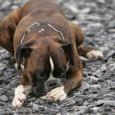 02 Ll5l7259 20191009 2069895755