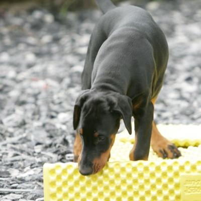 02 Ll5l7451 20191009 1503056936