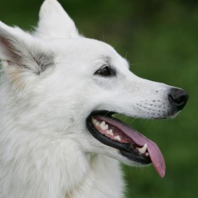 04 Ll5l7112 20191009 1501318303