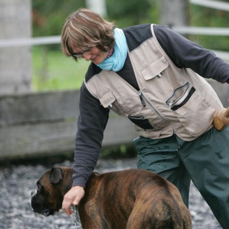 06 Ll5l7269 20191009 1784315393