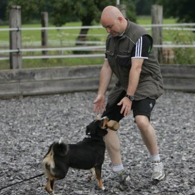 126 Ll5l7850 20191009 1143615373