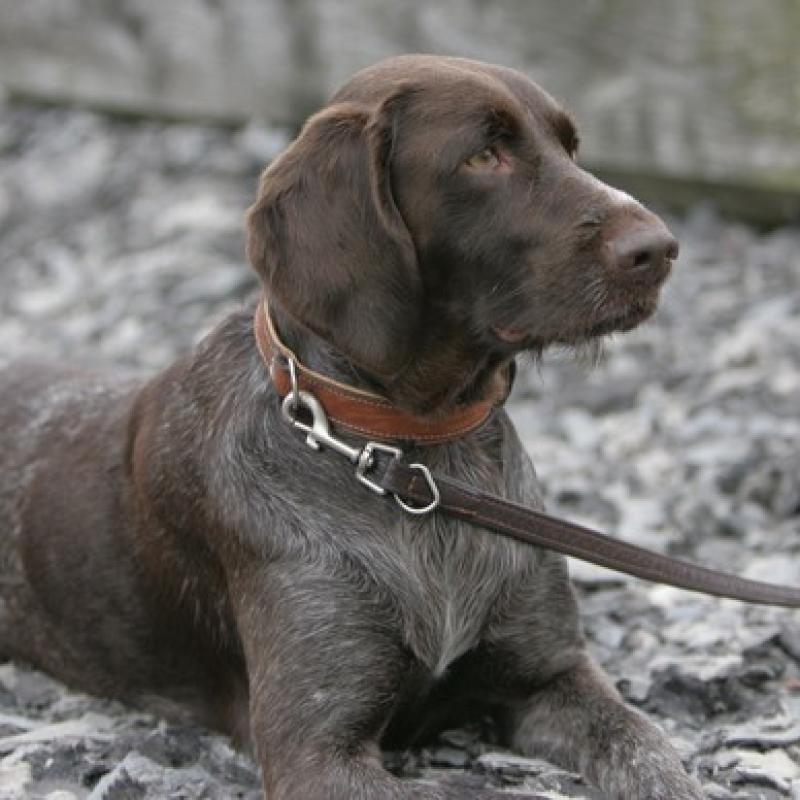 141 Ll5l7992 20191009 1350446996