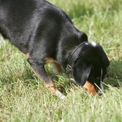 149 Ll5l8138 20191009 1326491530