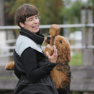 19 Ll5l7337 20191009 1525687568