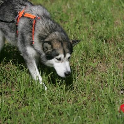 194 Ll5l8338 20191009 1298811750