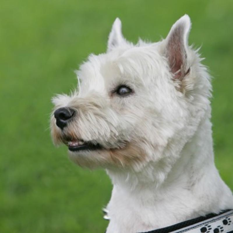 20 Ll5l7116 20191009 1114455204