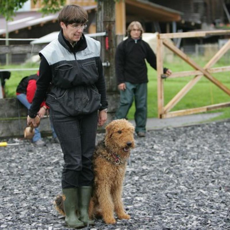 20 Ll5l7276 20191009 1193689189