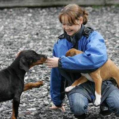 22 Ll5l7470 20191009 1638308231