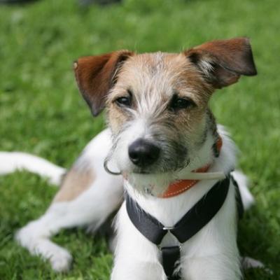 22 Ll5l7661 20191009 2040896730