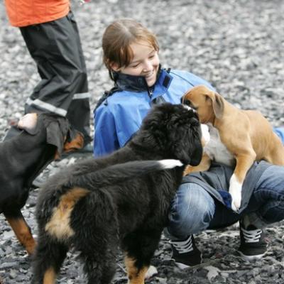 24 Ll5l7471 20191009 1099721663