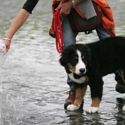 61 Ll5l8548 20191009 1933143689