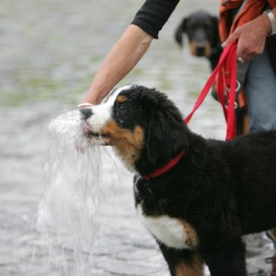 63 Ll5l8546 20191009 1430018628