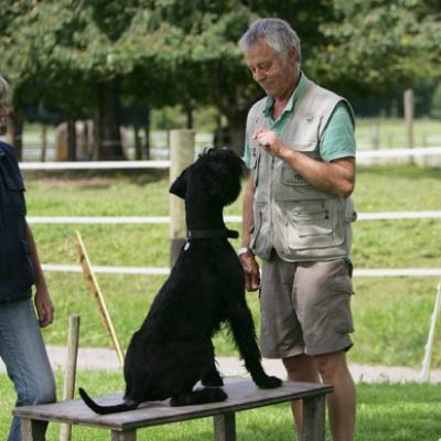 68 Ll5l7618 20191009 1015892464