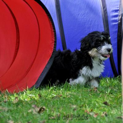 Dsc 0021 20191009 1106524601