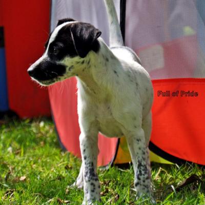 Dsc 0041 20191009 1390030618